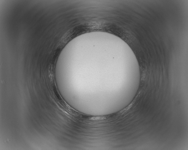X0000054380179200507290906