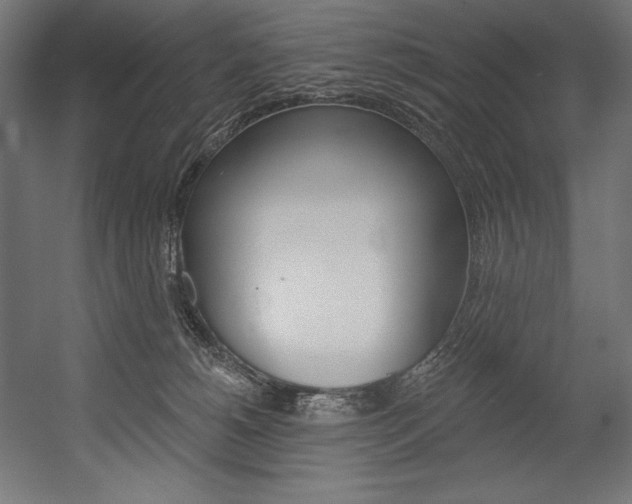X0000054380180200507290906
