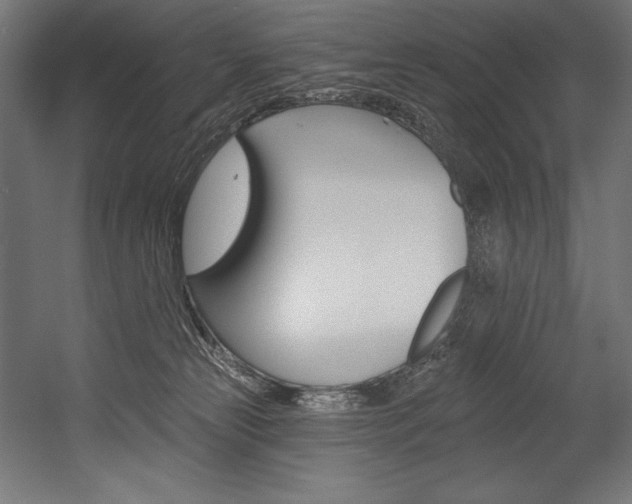 X0000054380181200507290906