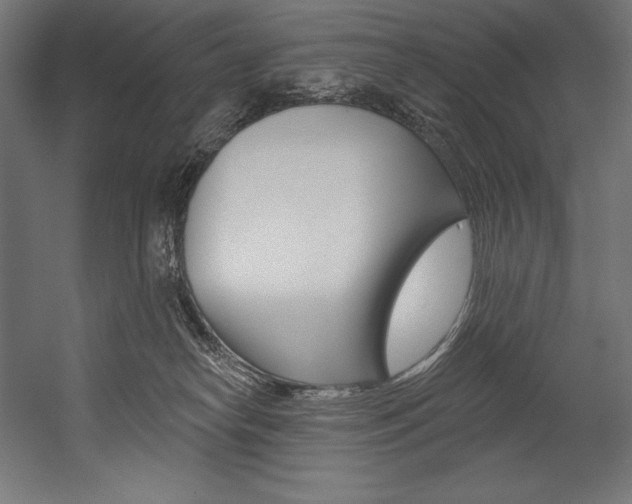 X0000054380182200507290906