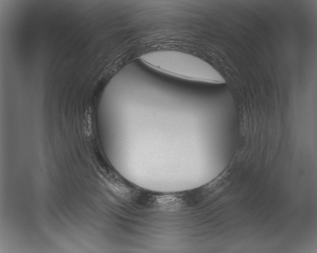 X0000054380183200507290906