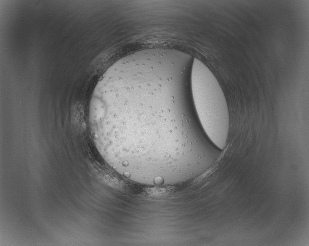 X0000054380187200507290906