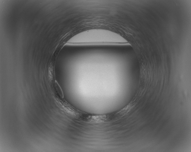 X0000054380188200507290906