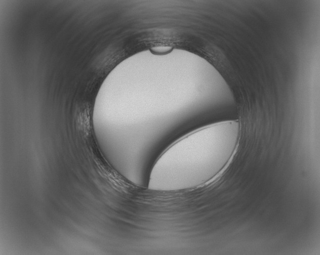 X0000054380190200507290906