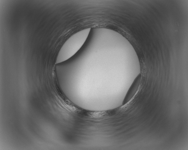 X0000054380191200507290906