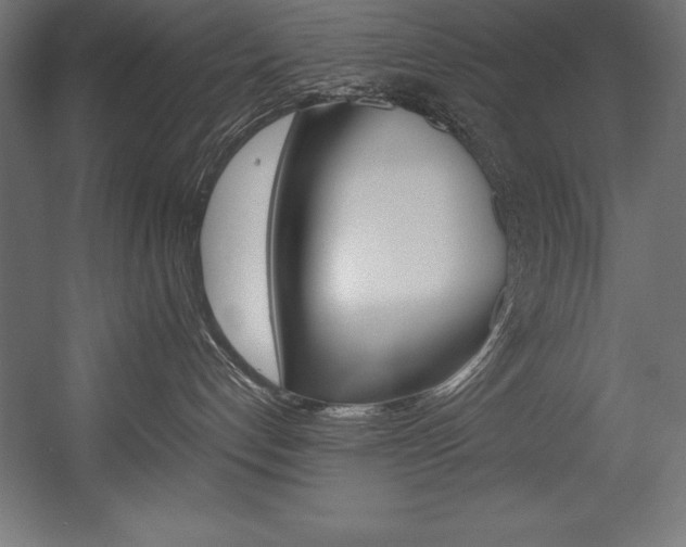 X0000054380192200507290906