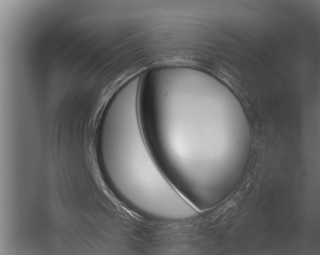 X0000054380193200507290906