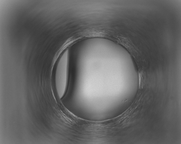 X0000054380195200507290906