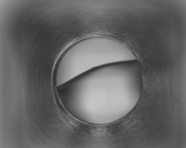 X0000054380196200507290906