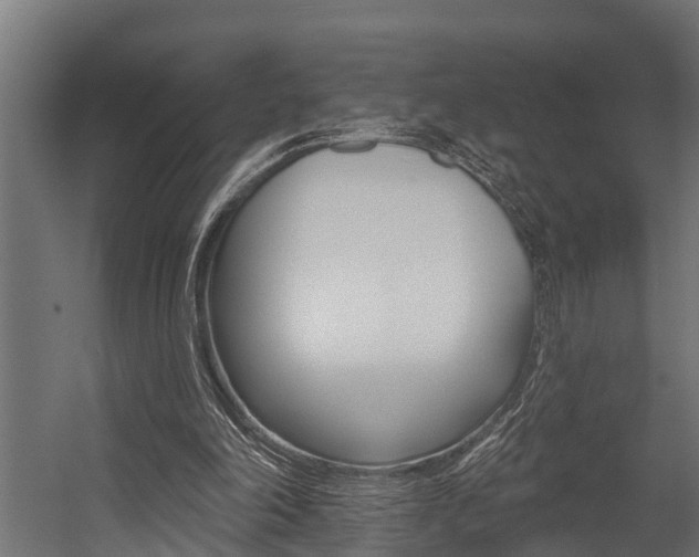X0000054380198200507290906