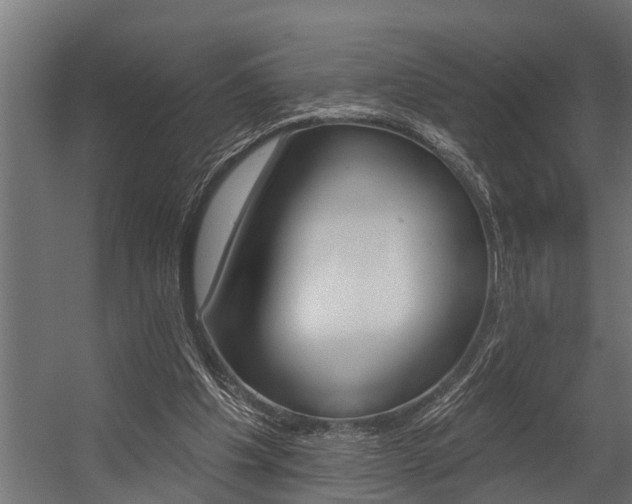 X0000054380201200507290905