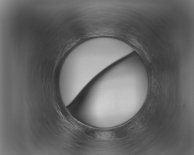 X0000054380202200507290905
