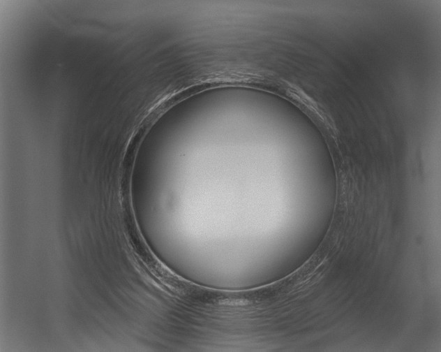 X0000054380203200507290905