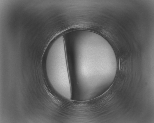 X0000054380204200507290905