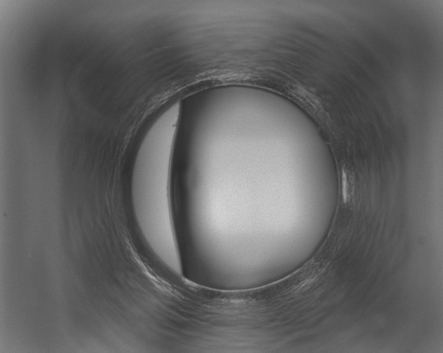 X0000054380205200507290905