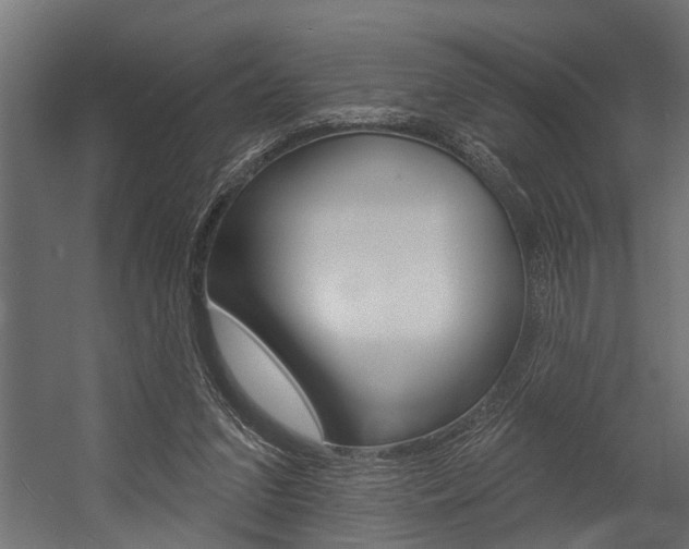 X0000054380207200507290905