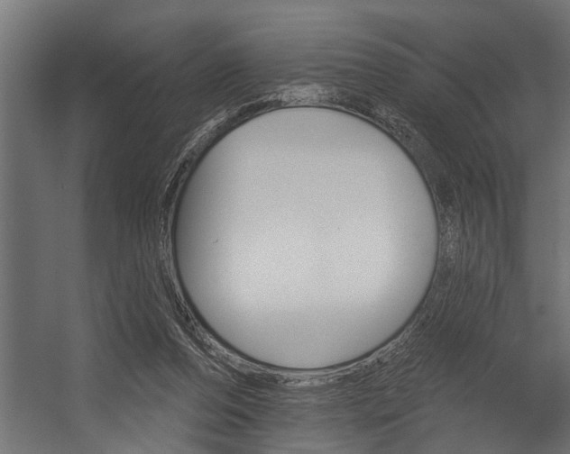 X0000054380208200507290905