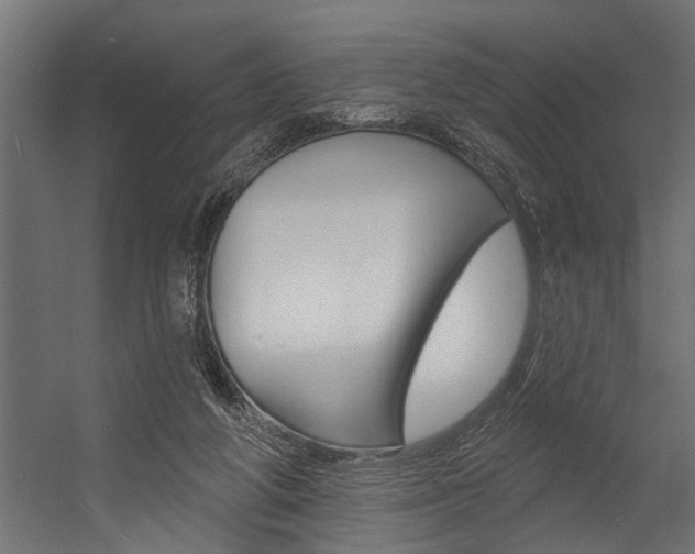 X0000054380210200507290905
