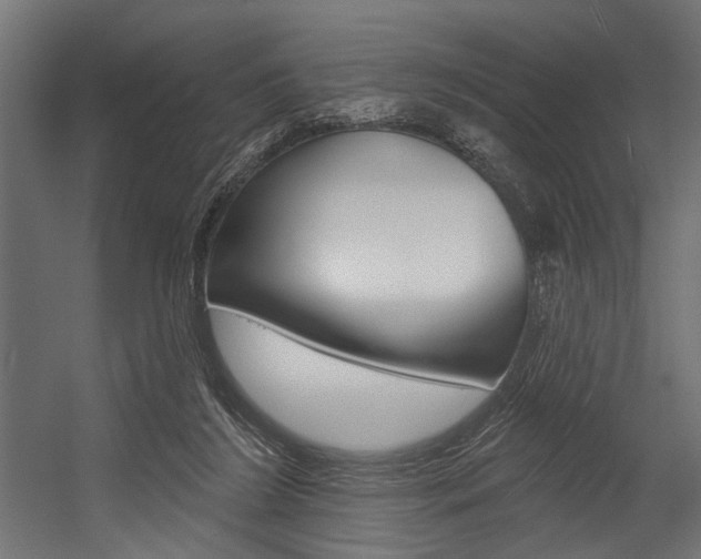 X0000054380212200507290905