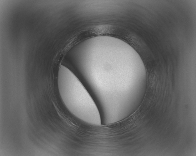 X0000054380214200507290905