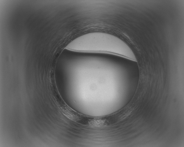 X0000054380217200507290905