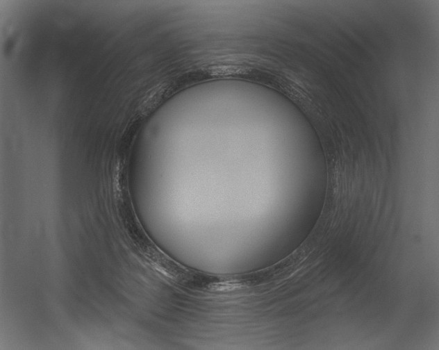 X0000054380219200507290905