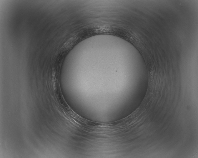 X0000054380223200507290905