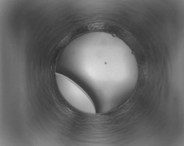 X0000054380224200507290905