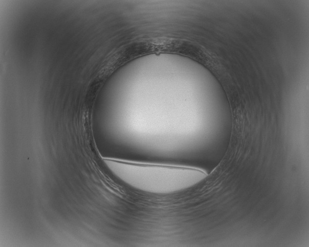X0000054380225200507290905