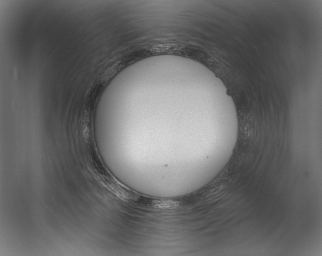 X0000054380226200507290905