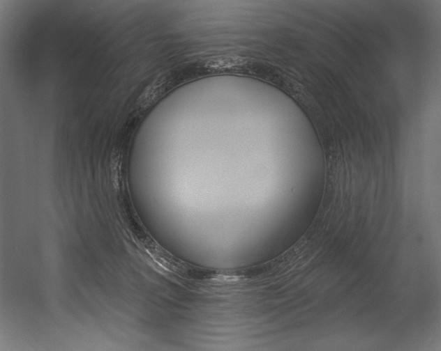 X0000054380227200507290905