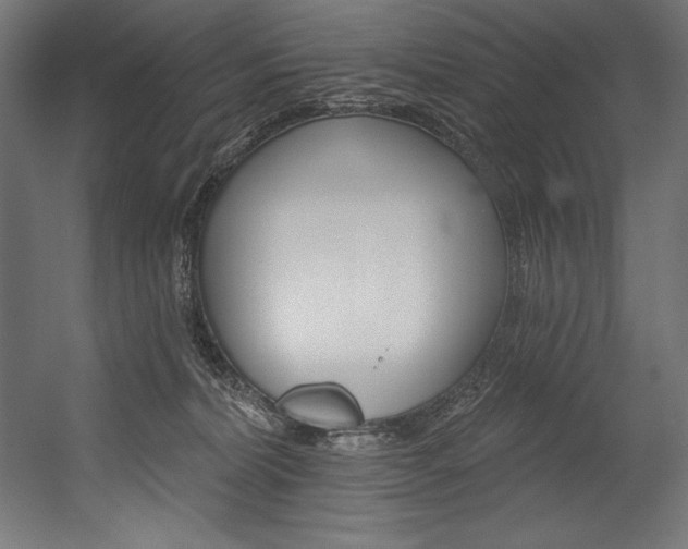 X0000054380228200507290905
