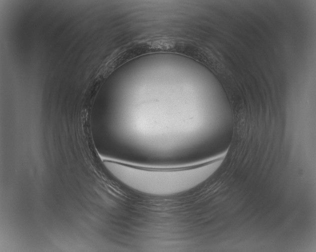 X0000054380229200507290905