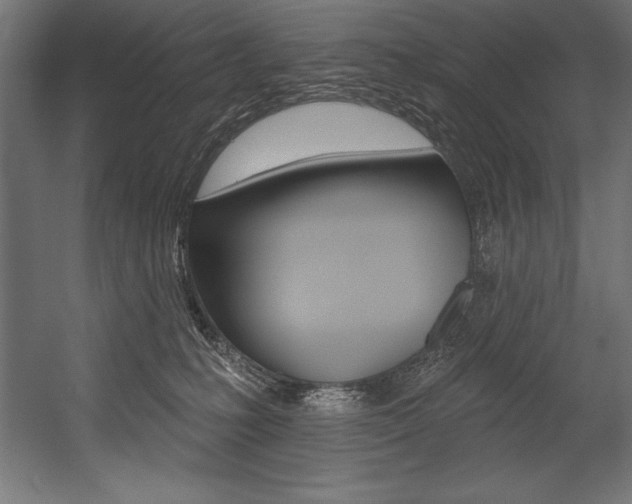 X0000054380231200507290905