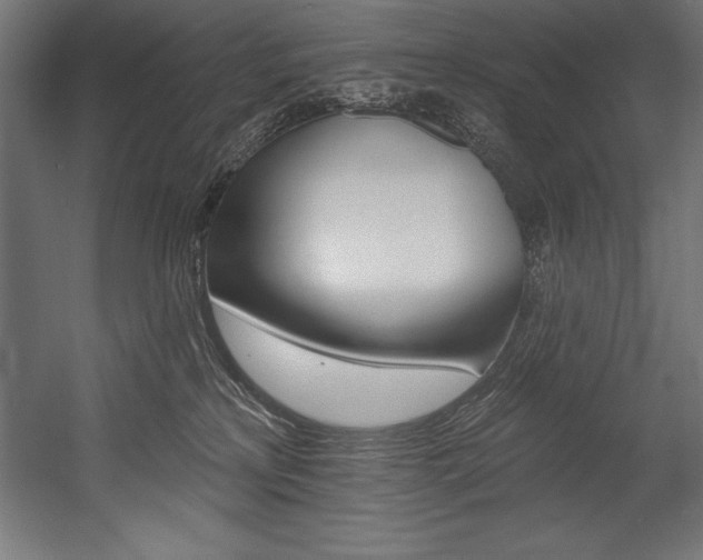 X0000054380233200507290905