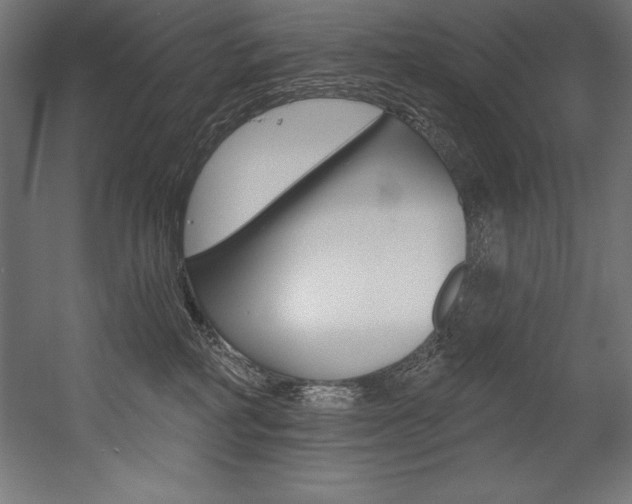 X0000054380234200507290905