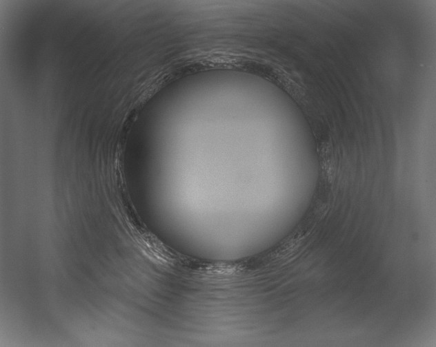 X0000054380235200507290905