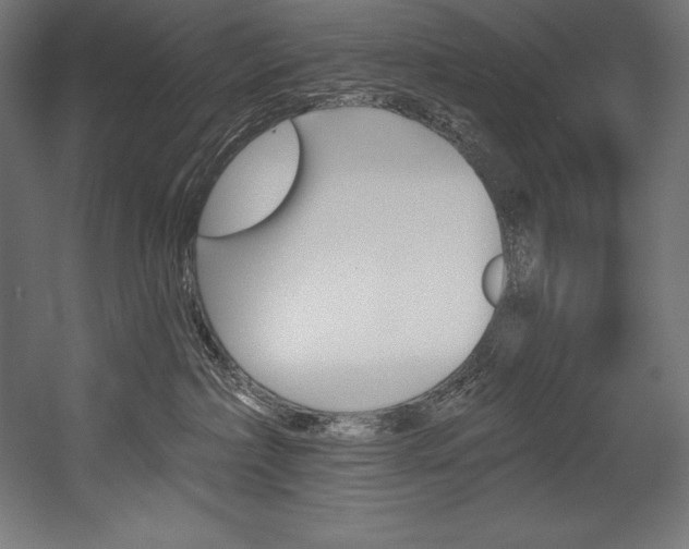 X0000054380236200507290905