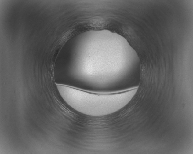 X0000054380237200507290905