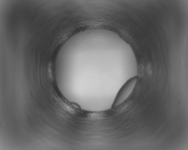 X0000054380238200507290905