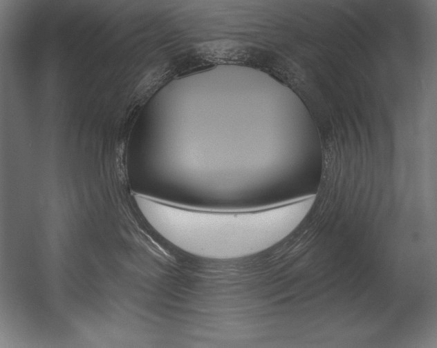 X0000054380239200507290905