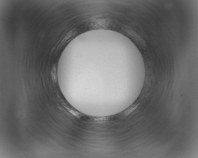 X0000054380240200507290905