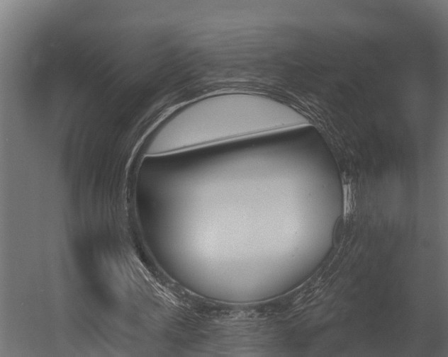 X0000054380243200507290904