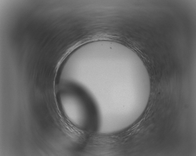 X0000054380244200507290904