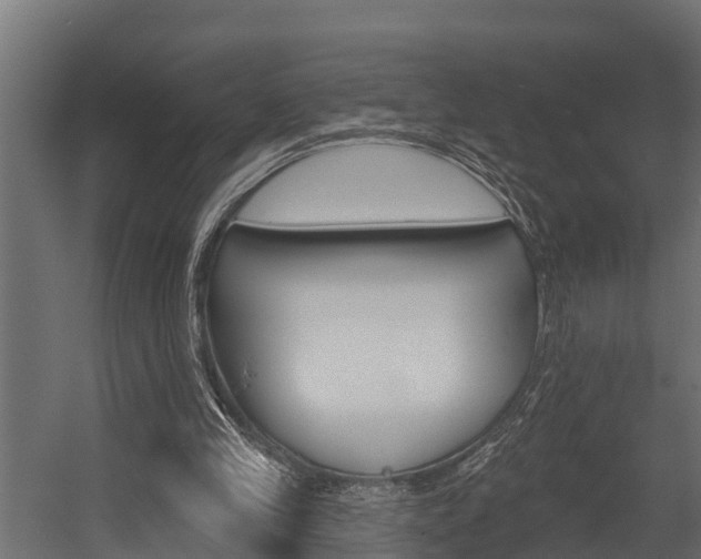 X0000054380245200507290904