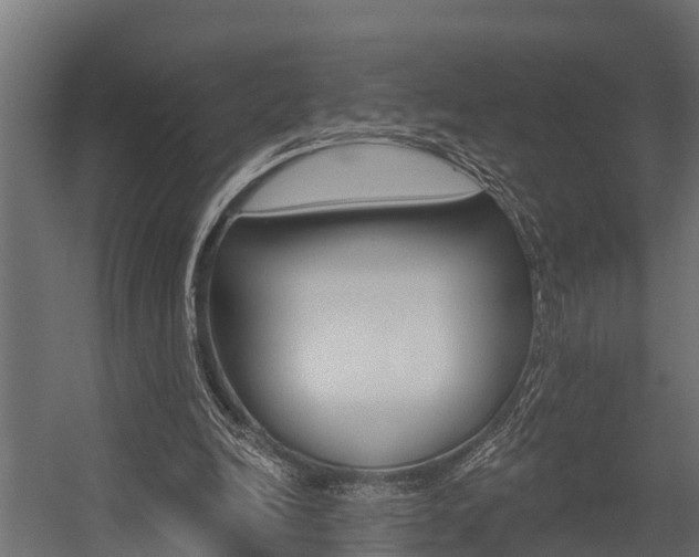 X0000054380246200507290904