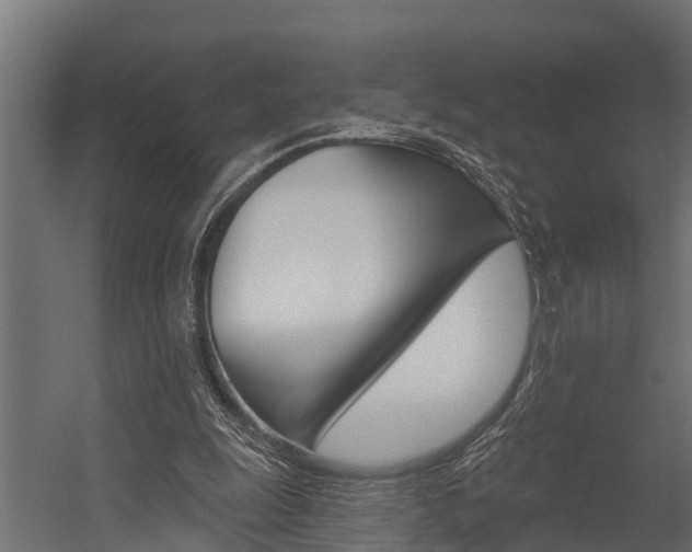 X0000054380247200507290904