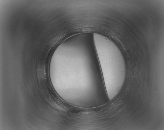 X0000054380251200507290904