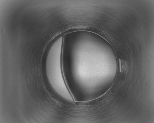 X0000054380252200507290904