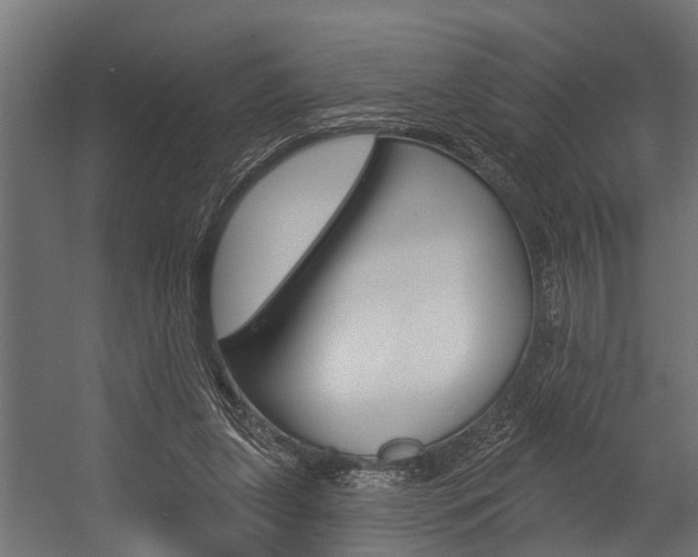 X0000054380255200507290904